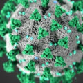 Can Microwaving Kill the Virus That Causes COVID-19?