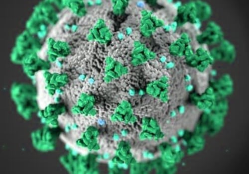Can Microwaving Kill the Virus That Causes COVID-19?